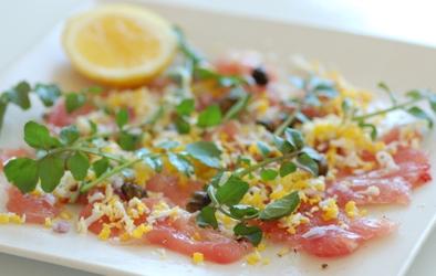 tuna carpaccio tuna carpaccio picture